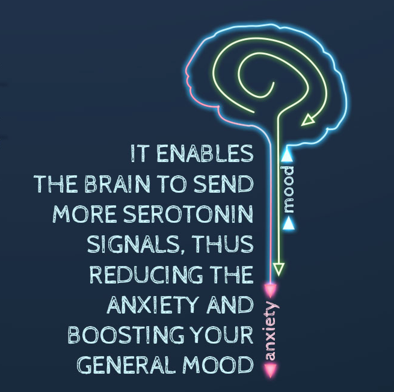 Why is CBD so Good for Anxiety?