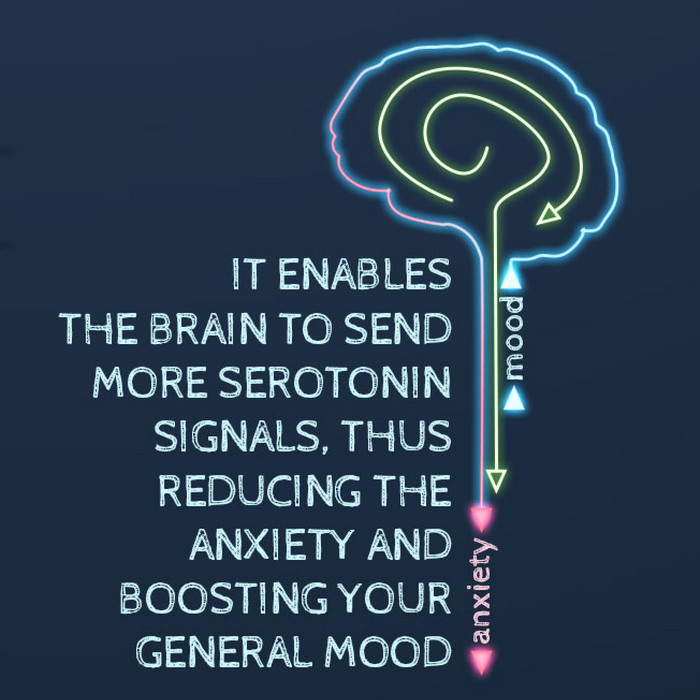 Why is CBD so Good for Anxiety?