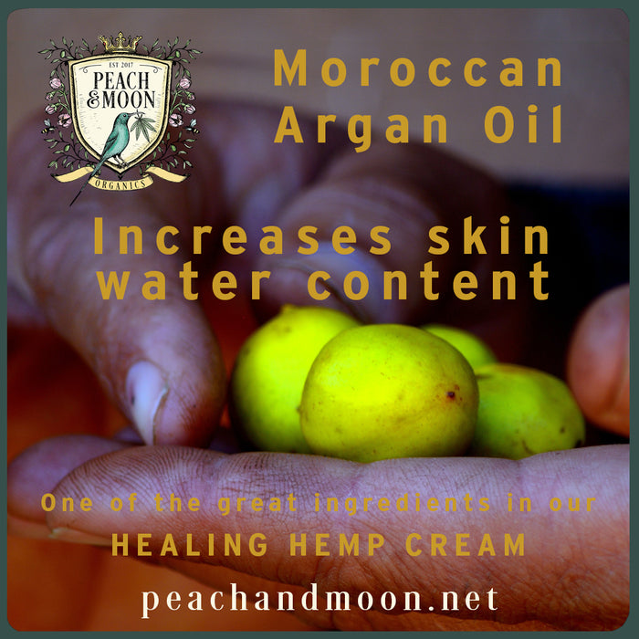 Healing Hemp Cream - Peach & Moon Organics