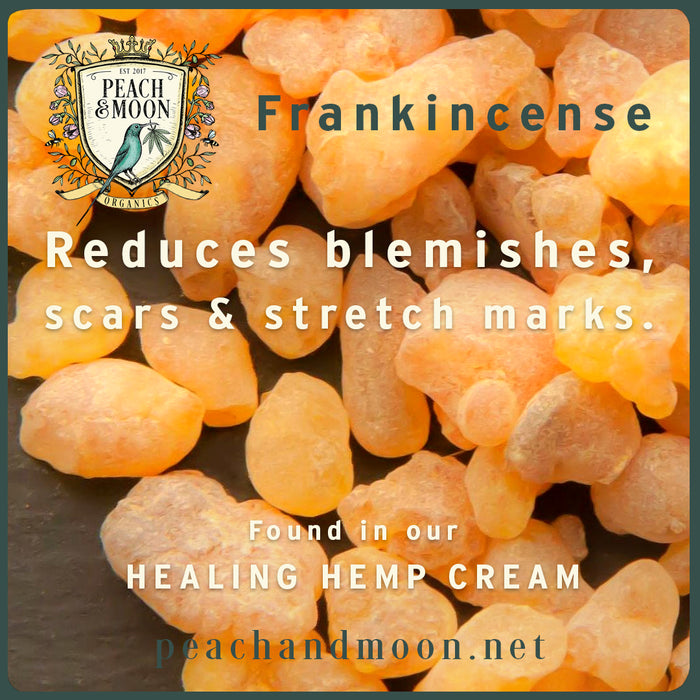 Healing Hemp Cream - Peach & Moon Organics