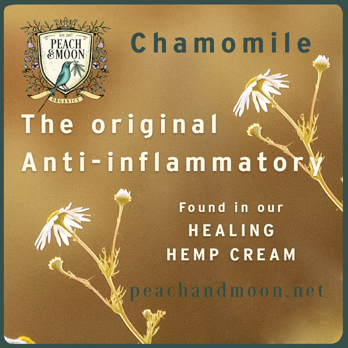 Healing Hemp Cream - Peach & Moon Organics