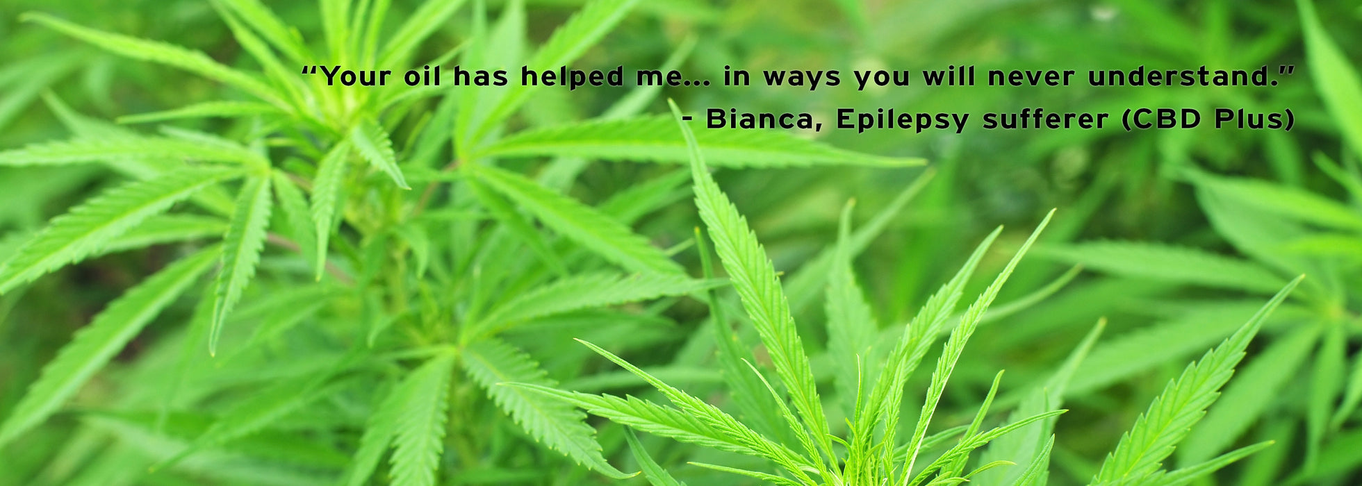 CBD Plus (Water Soluble) - Peach & Moon Organics