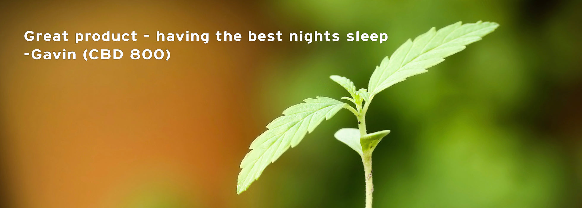 CBD 800 (Organic) - Set of 2 - Peach & Moon Organics