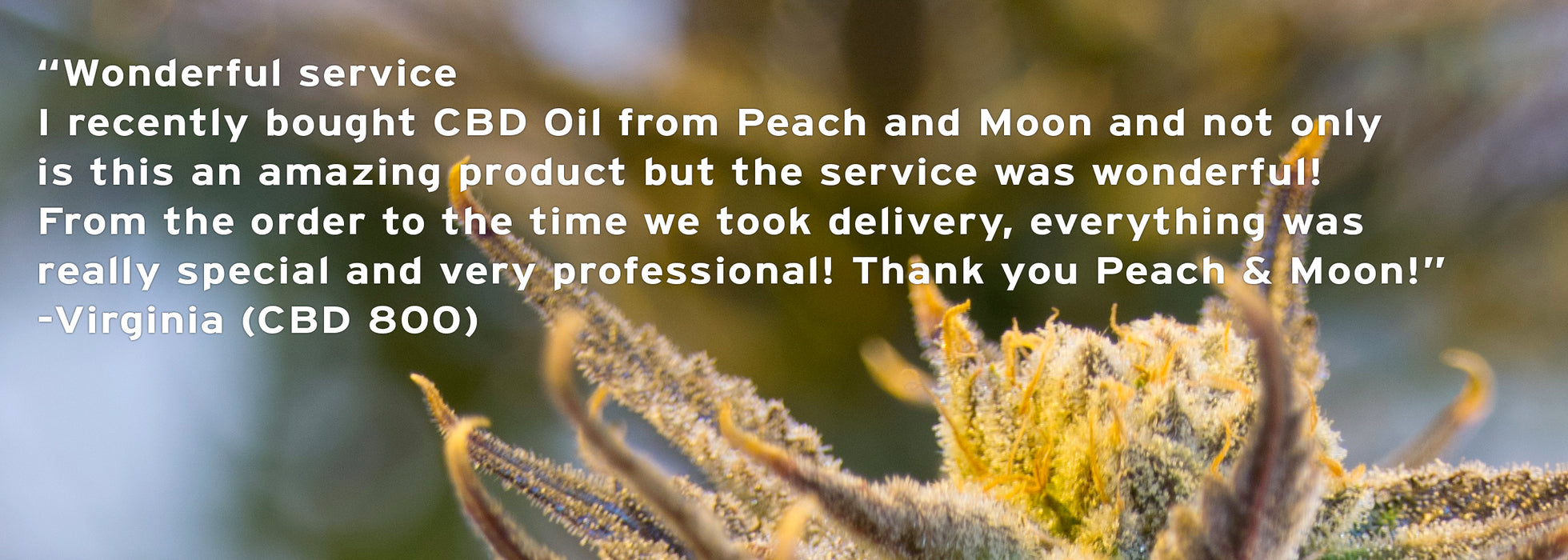 CBD 800 (Organic) - Set of 2 - Peach & Moon Organics