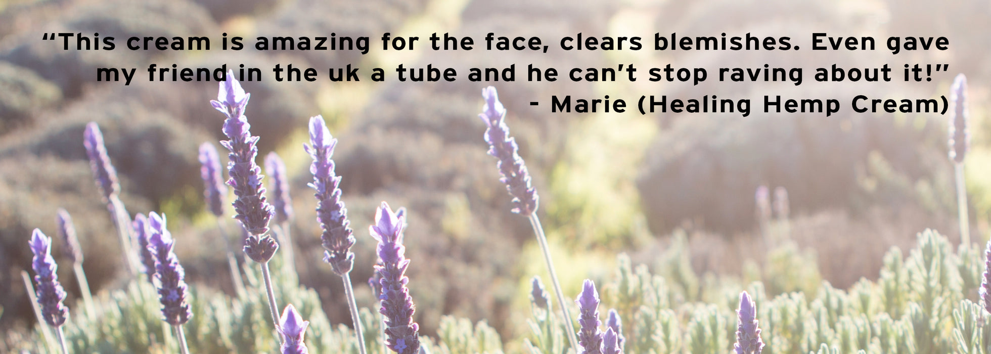 Healing Hemp Cream - Set of 2 - Peach & Moon Organics